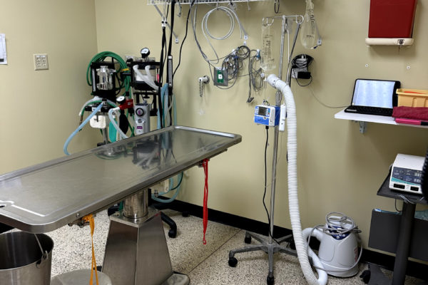 Our surgery room is equipped for the care and constant monitoring of our patients!